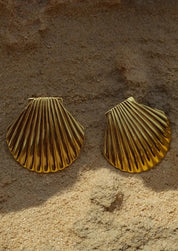 Gold shell-shaped earrings on sandy surface front view