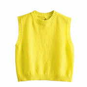 Birdie Gebreide Top met Open Rug en Vrouwelijk Silhouet voor dames