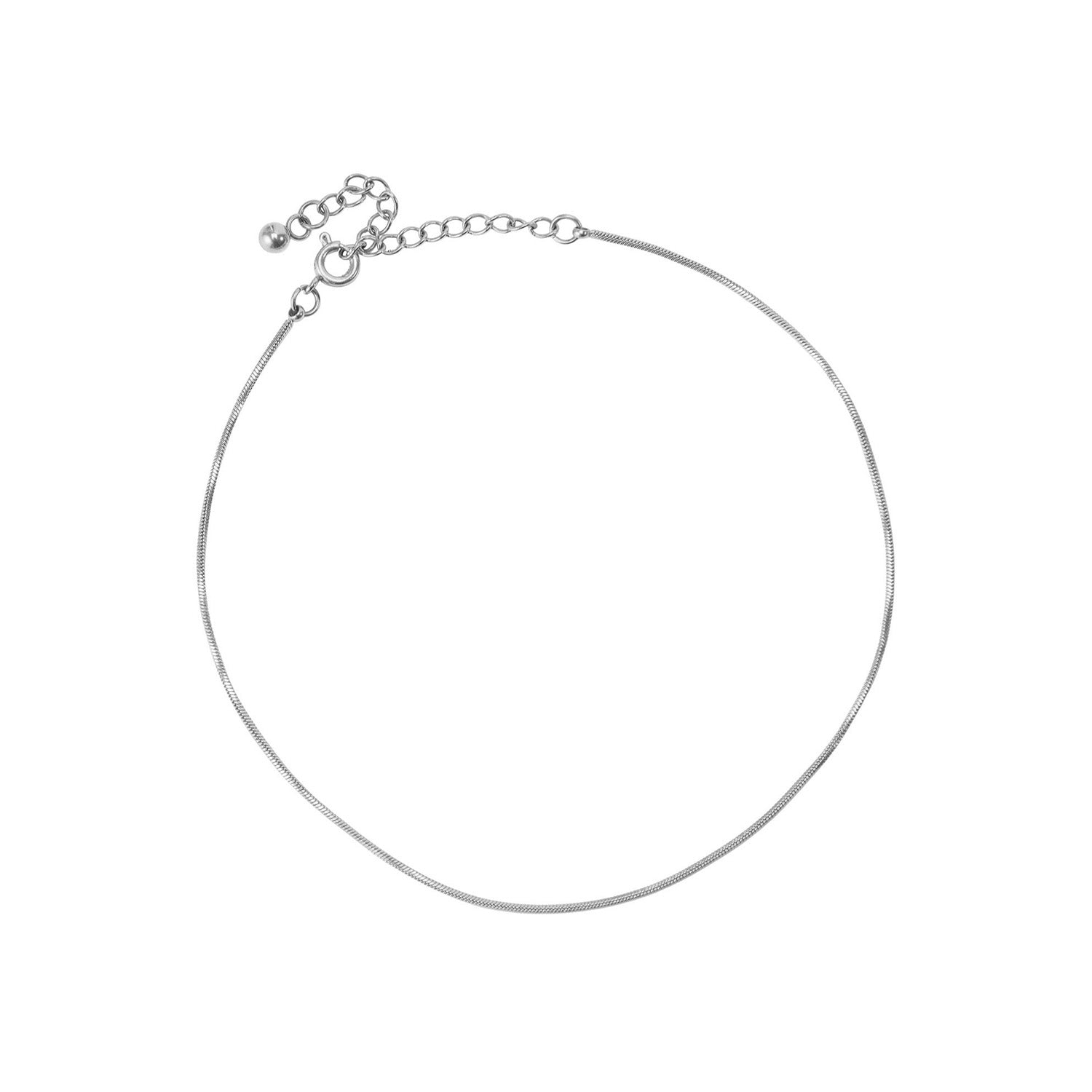 Silver chain anklet with clasp, isolated view