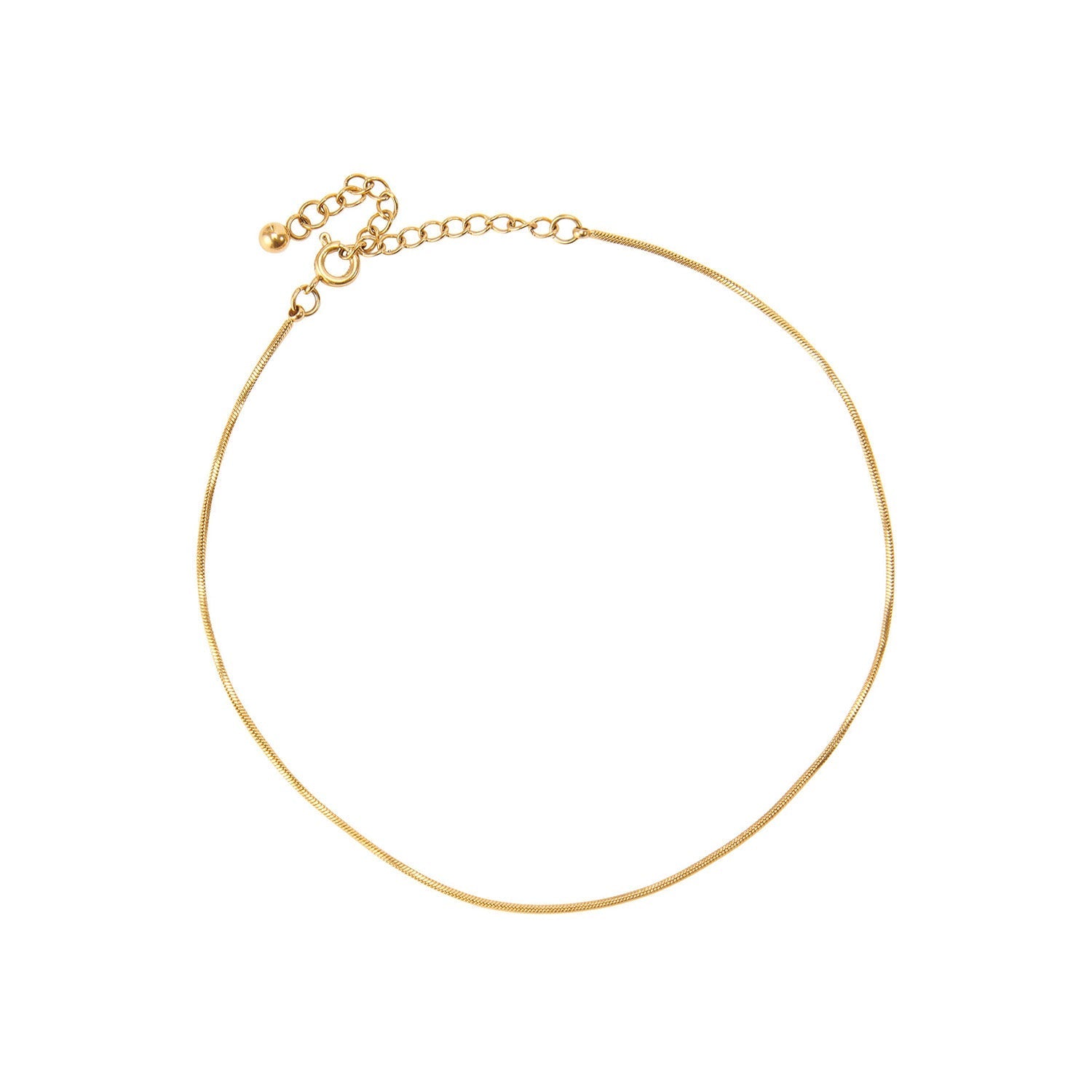 Gold chain anklet with clasp, isolated view