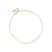 Gold chain anklet with clasp, isolated view