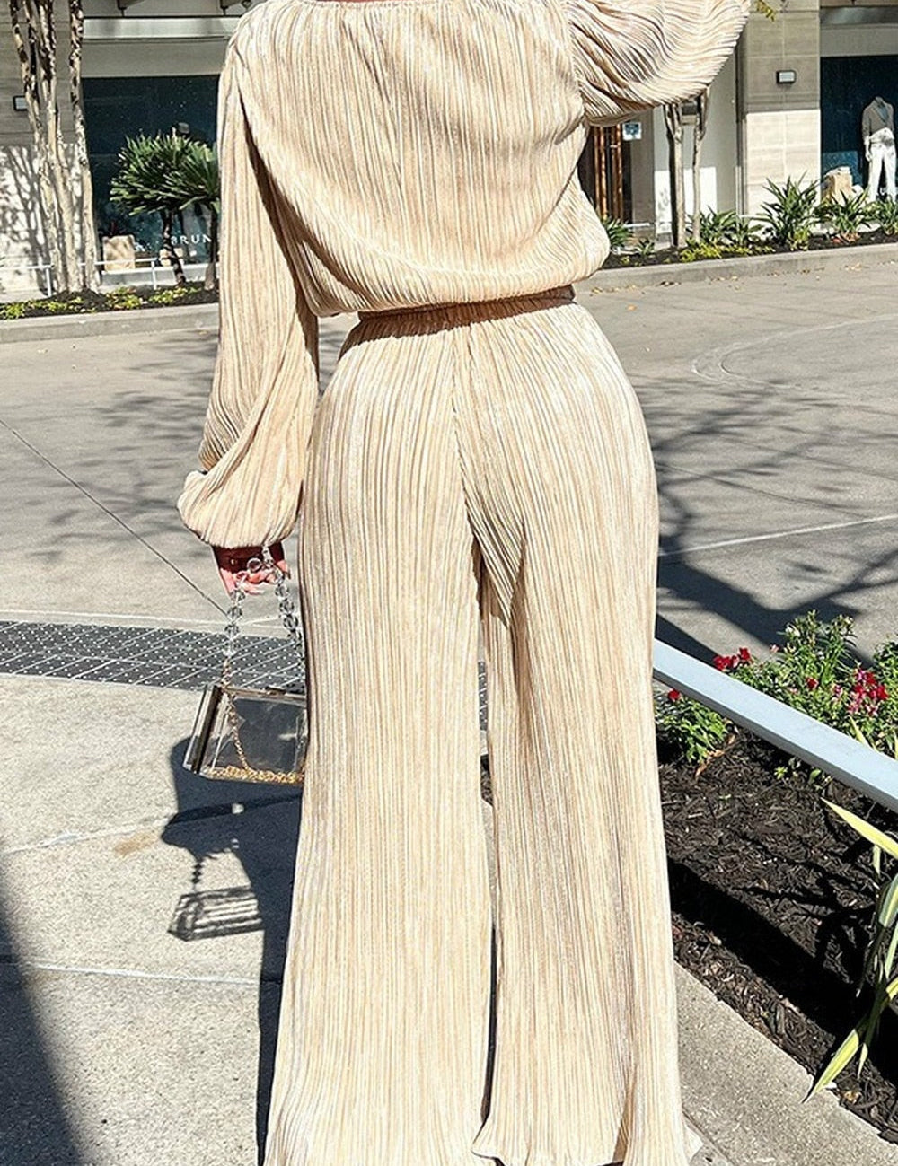 Beige pleated jumpsuit with wide legs and chain strap bag, back view